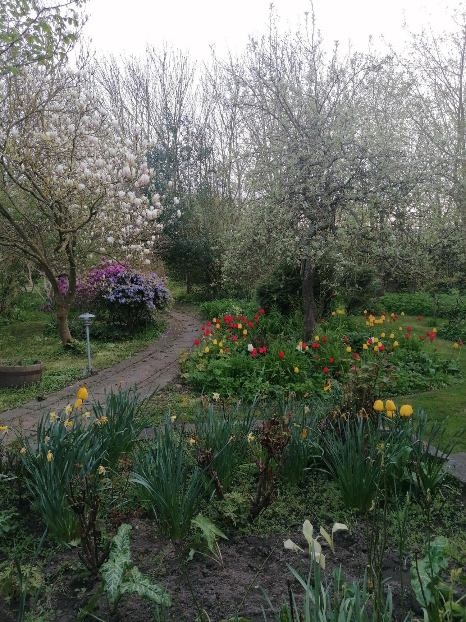 B&B Tvolm Ydby Thy Bagian luar foto
